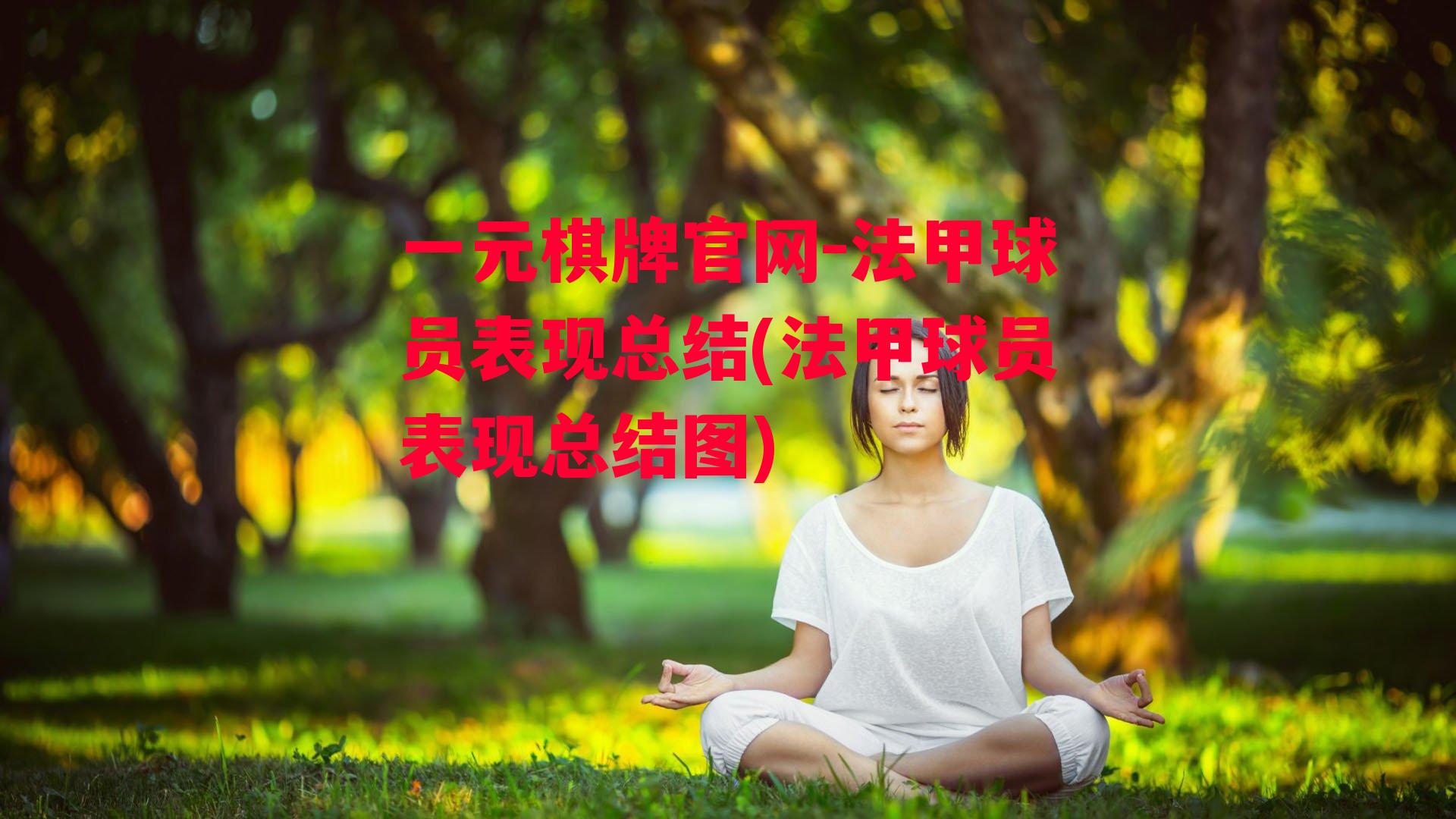 法甲球员表现总结(法甲球员表现总结图)